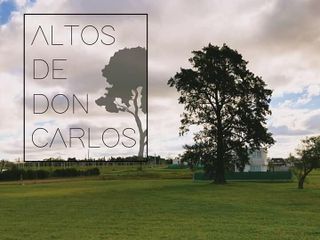 Lote Altos de Don Carlos (15 x 40) - 506 y 138 - J. Hernández La Plata