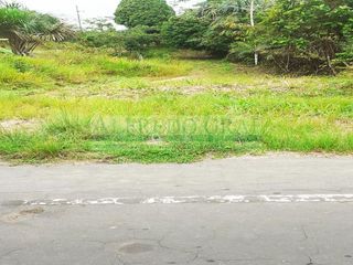 Foto 2 de Terrenos Agricolas Venta Carretera Iquitos - Nauta - IQUITOS