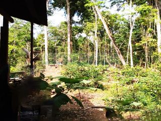 Foto 7 de Terrenos Agricolas Venta Carretera Iquitos - Nauta - IQUITOS