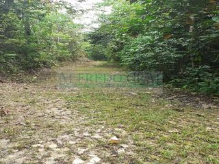 Foto 6 de Terrenos Agricolas Venta Carretera Iquitos - Nauta - IQUITOS