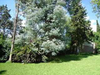 Foto 24 de Quinta en Venta en Tigre, Buenos Aires