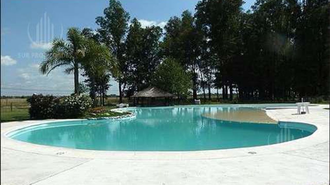 place photo 28