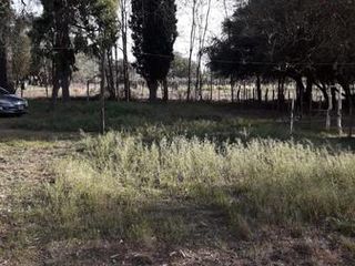 Foto 1 de Campo - Bowen