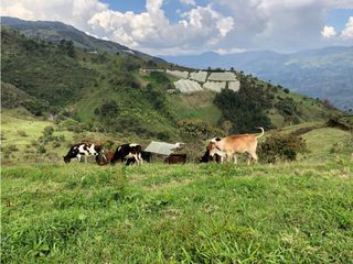 Lotes en venta en Don Matías, Antioquia con escrituras
