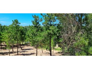 Lote en Costa Esmeralda Barrio Ecuestre Lote 140 1232 m2 cul de sac