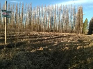 Foto 1 de Chacra - Villa Regina