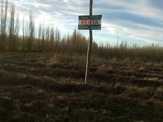 Foto 4 de Chacra - Villa Regina