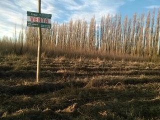 Foto 3 de Chacra - Villa Regina