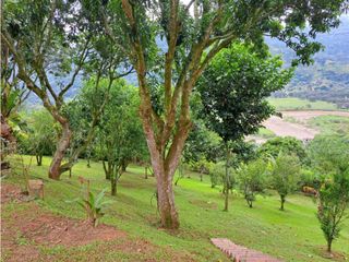 Finca en venta en Barbosa