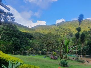 FINCA EN DAPA EN BOSQUE DE NIEBLA