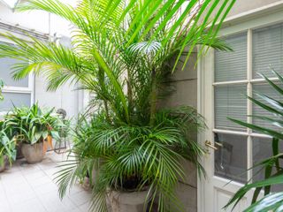 VENTA PH DE 3 PISOS CON TERRAZA Y PATIO SAN TELMO