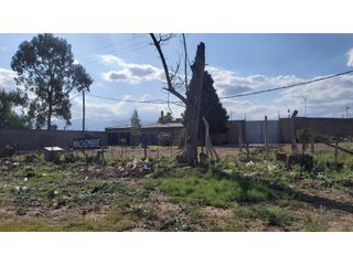 Foto 15 de GALPÓN · ALQUILER · 7.000 M2 ·  DOS GALPONES · OFICINA · LAS HERAS