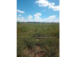Foto 2 de VENTA DE EXCEPCIONAL LOTE EN CALLE COMANDANTE TORRES- RIVADAVIA-MZA.