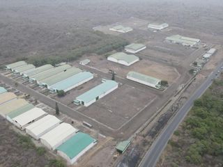 Foto 8 de Bodega