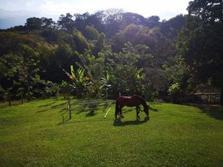 Venta De Finca En San Jerónimo