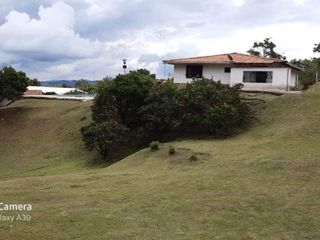 Foto 2 de finca en venta en calima. Cod V16736