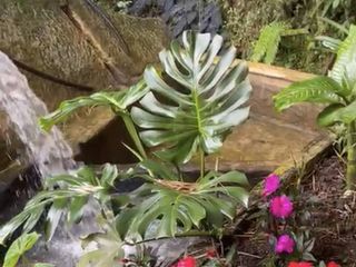 Foto 15 de finca en venta en calima. Cod V16736