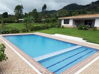 Foto 18 de finca en venta en calima. Cod V16736
