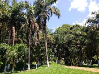 Foto 9 de VENDO LOTES EN JARDÍN AMÉRICA