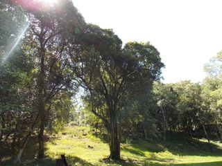 Foto 7 de VENDO LOTES EN JARDÍN AMÉRICA