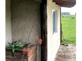 Foto 12 de CASA en Alquiler en Verónica - Punta Indio