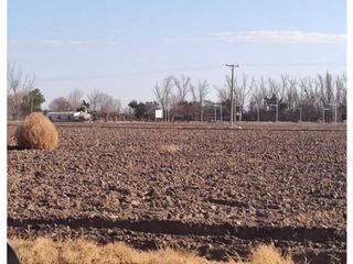 Foto 2 de VENTA DE FINCA 12 HAS EN LA COLONIA, JUNN - MZA