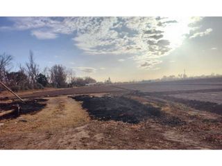 Foto 1 de VENTA DE FINCA 12 HAS EN LA COLONIA, JUNN - MZA