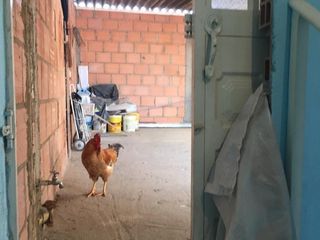 Foto 24 de SE VENDE AMPLIA CASA RENTABLE EN  LA ESTANZUELA  BOSA BOGOTA