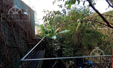 place photo 53