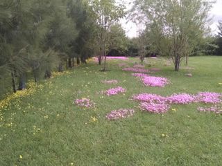 Foto 5 de VENTA DE DEPARTAMENTOS EN GUALEGUAY