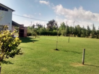 Foto 3 de VENTA DE DEPARTAMENTOS EN GUALEGUAY