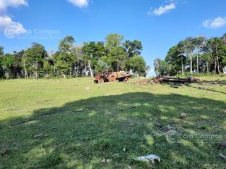 Foto 1 de Se Vende Campo Ganadero de 150ha en Colonia Delicia, Eldorado.