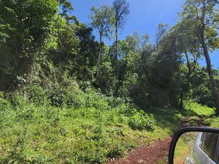 Foto 3 de Se Vende Campo Ganadero de 150ha en Colonia Delicia, Eldorado.