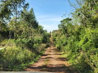 Foto 4 de Se Vende Campo Ganadero de 150ha en Colonia Delicia, Eldorado.