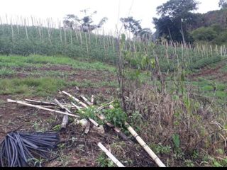 Foto 4 de finca en venta en puente tierra. Cod V107643