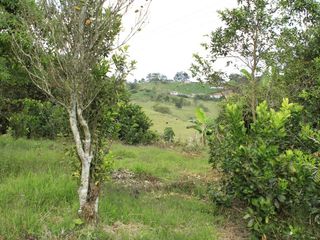Foto 3 de finca en venta en puente tierra. Cod V107643