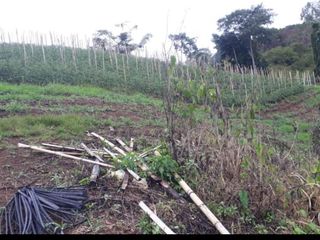 Foto 5 de finca en venta en puente tierra. Cod V107643