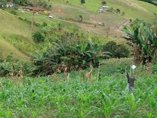 Foto 6 de finca en venta en puente tierra. Cod V107643