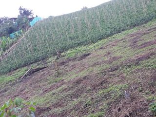 Foto 7 de finca en venta en puente tierra. Cod V107643