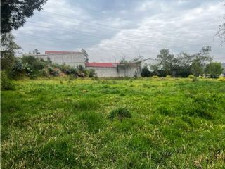 Terreno en venta amplió plantío y listo para ti en MONAY  el valle