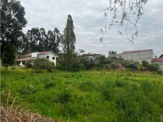 Terreno en venta amplió plantío y listo para ti en MONAY  el valle