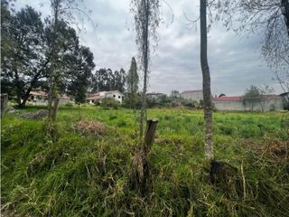 Terreno en venta amplió plantío y listo para ti en MONAY  el valle