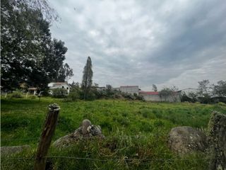 Terreno en venta amplió plantío y listo para ti en MONAY  el valle