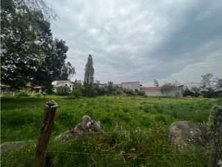 Terreno en venta amplió plantío y listo para ti en MONAY  el valle