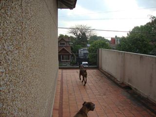 Foto 7 de VENDE CHALET