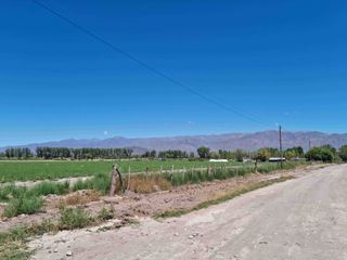 Hermosa finquita de 6 hectareas inculta en el Valle de Uco, Mendoza al pie de la montaÃ±a, con derecho de riego.