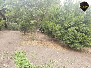 Foto 4 de Casa de venta en Yunguilla – código:17930