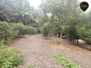 Foto 3 de Casa de venta en Yunguilla – código:17930