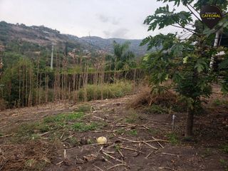 Foto 10 de Casa de venta en Yunguilla – código:17930
