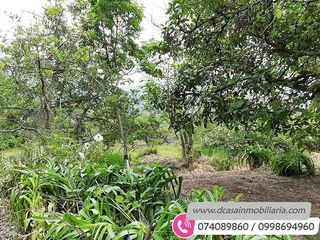 Foto 5 de Quinta de Venta – Gualaceo – 1 héctarea (Q-114)
